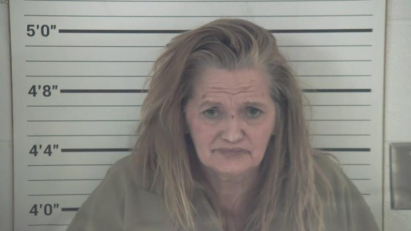 Mugshot of STELLA LOUISE HOWARD