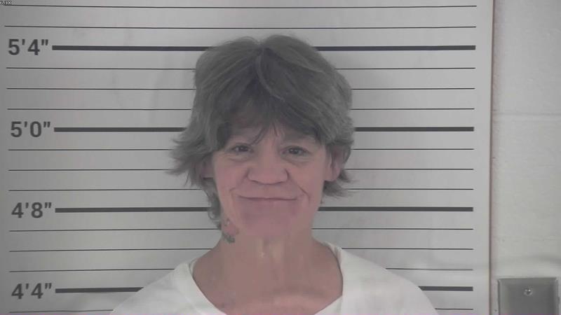 Mugshot of SHERRI MCCLANANHAN booked in Pendleton County, Kentucky on July 28, 2026