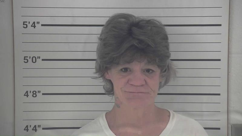 Mugshot of SHERRI DAWN MCCLANANHAN booked in Pendleton County, Kentucky on August 4, 2026