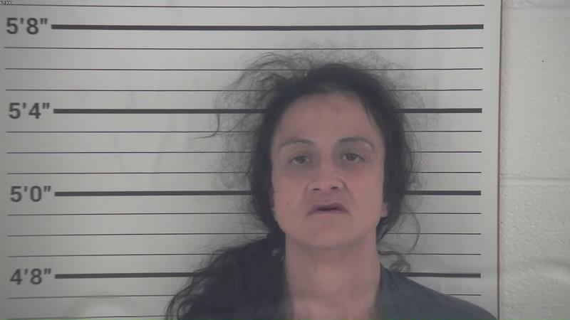 Mugshot of SHELLINA MARIE THOMAS booked in Pendleton County, Kentucky on July 28, 2026