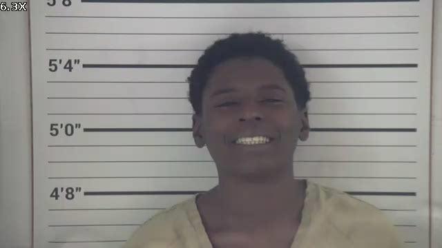 Mugshot of TOMIKO BRASHANNA A'SHELL LEFLORE