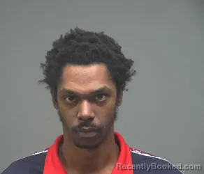 Mugshot of STEPHEN LEE WATKINS