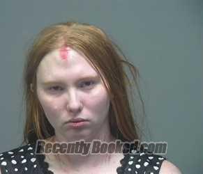 Booking photo from Perry County, Kentucky