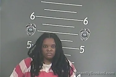 Mugshot of Ashley Monique Gause booked in Pike County, Kentucky on October 27, 2026