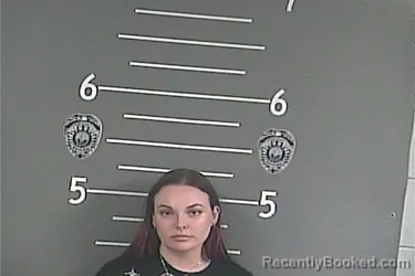 Mugshot of AMANDA P HENDERSON