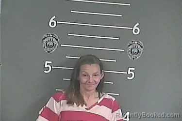 Mugshot of AMANDA LYNN KINSER