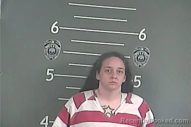 Mugshot of AMY NICOLE LOWE booked in Pike County, Kentucky on July 2, 2026