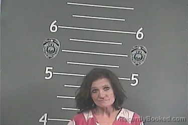 Mugshot of AMANDA JO LAYNE
