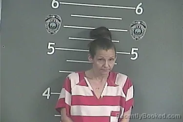 Mugshot of AMANDA LYNN WILLIAMSON