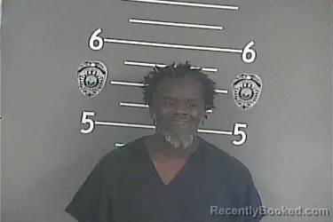 Mugshot of BRANDY V HICKMAN