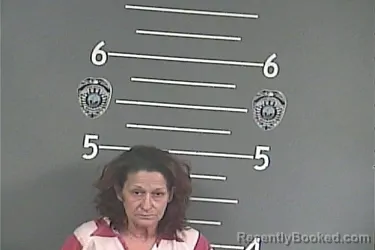 Mugshot of BRENDA J TURNER