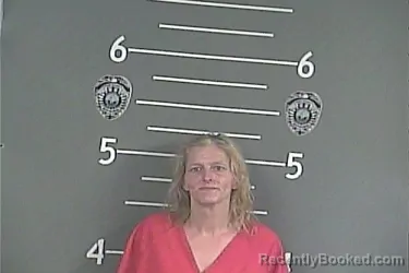 Mugshot of BELINDA A VANHORN