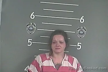 Mugshot of CRYSTAL R COOK booked in Pike County, Kentucky on June 28, 2026