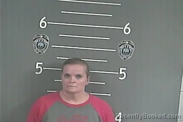 Mugshot of CINDY R WILLIAMSON booked in Pike County, Kentucky on July 3, 2026