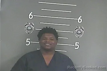 Mugshot of DVONNE M TYSON booked in Pike County, Kentucky on June 29, 2026