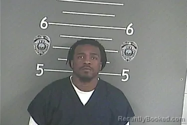 Mugshot of DESHAWN A WILLIAMSON booked in Pike County, Kentucky on July 2, 2026