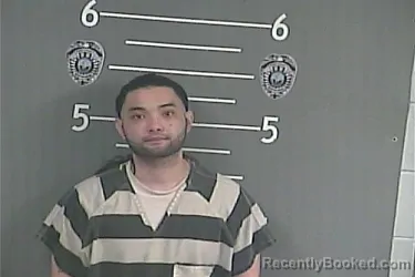 Mugshot of HENRY V LE