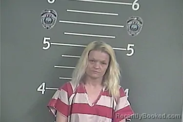Mugshot of HOLLIE S LAMB booked in Pike County, Kentucky on May 13, 2026