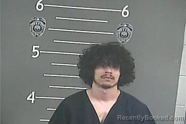 Mugshot of JAYLEN D PUZAKULICS