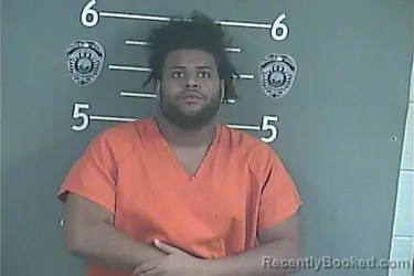 Mugshot of JYLIN R WOODS