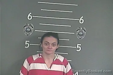 Mugshot of KIMBERLY LYNN STEPP