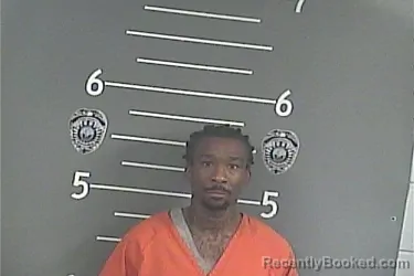 Mugshot of Lionel B Newman booked in Pike County, Kentucky on September 14, 2026