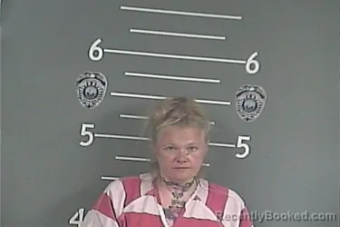 Mugshot of NICOLE M BLEVINS booked in Pike County, Kentucky on May 10, 2026