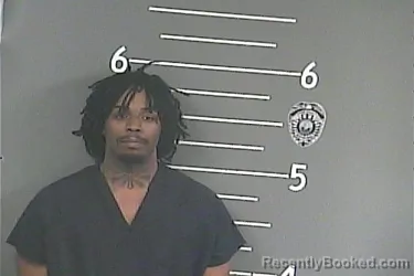 Mugshot of NASEAN A WHITE booked in Pike County, Kentucky on June 29, 2026
