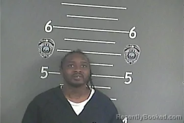 Mugshot of RICKY E LYNN