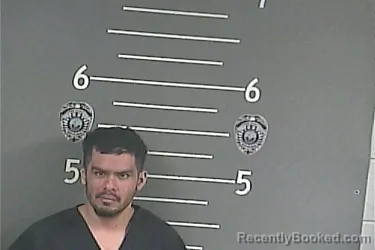 Mugshot of RONNY . SALINAS