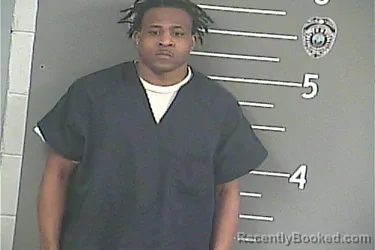Mugshot of STEVEN . WILLIAMS