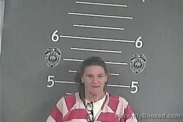 Booking photo from Pike County, Kentucky