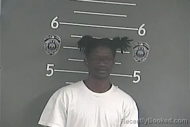 Mugshot of TIMOTHY ALLEN DAVIS