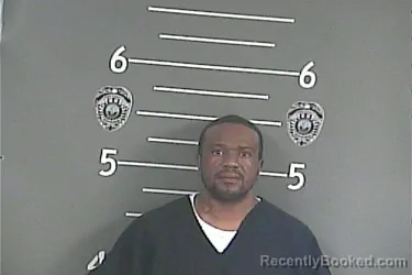 Mugshot of TAMARRIS D LEWIS booked in Pike County, Kentucky on June 29, 2026