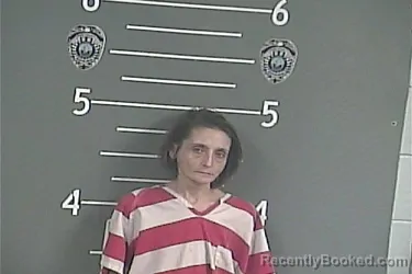 Mugshot of TINA M MULLINS-BRIDGEMAN