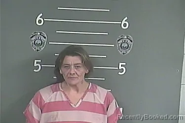 Mugshot of TIFFANY E STANLEY booked in Pike County, Kentucky on June 13, 2026
