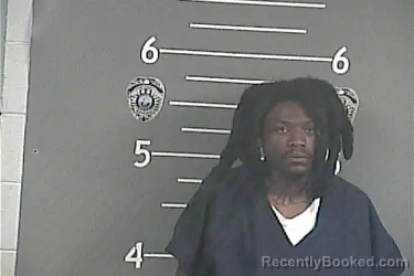 Mugshot of ZAVION B MCCALLISTER booked in Pike County, Kentucky on June 25, 2026