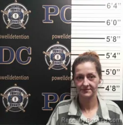 Mugshot of BRANDY ROBINSON