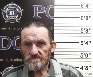 Mugshot of ROBERT WELLS