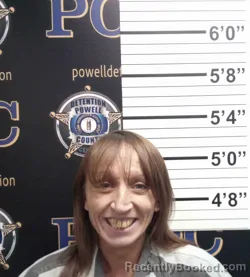 Mugshot of TINA GOODWIN