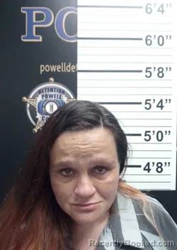 Mugshot of LISA COMBS