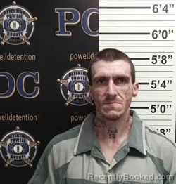 Mugshot of SHAWN CORNETT