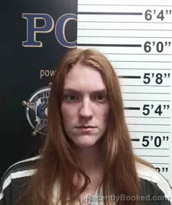 Mugshot of BRITTANY ELKINS