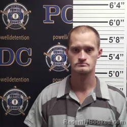 Mugshot of STEVEN VIRES