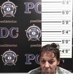 Mugshot of ANITA YOUNG