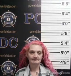 Mugshot of ASHLEY ALCORN