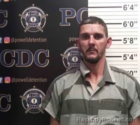 Mugshot of STACY COX