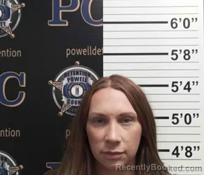 Mugshot of MELANIE MATTINGLY
