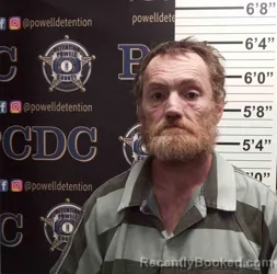 Mugshot of JAMES SKAGGS