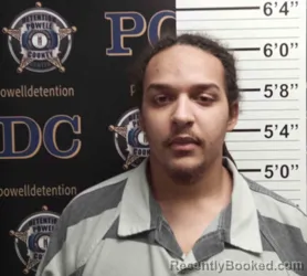 Mugshot of WESLEY STEVENSON